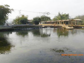 崇左知名的那馬竹泉島景區 南寧那馬竹泉島景區團購 乘風寨馬場, 崇左知名的那馬竹泉島景區 南寧那馬竹泉島景區團購 乘風寨馬場生產廠家, 崇左知名的那馬竹泉島景區