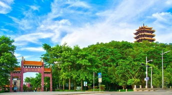 2019東莞 賣瘋啦 隆重來襲 開發商自己都驚訝了