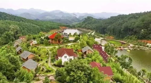 跨越山海 三明在福廈泉推介全域全時(shí)旅游與森林康養(yǎng)新體驗(yàn)