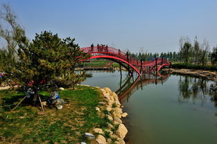 新建中的保定生態園 九龍潭生態園——未來城市綠心的展望